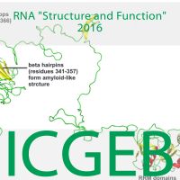 Rna Structure and Function 2016 cover