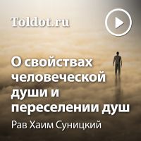 Рав Хаим Суницкий — О свойствах человеческой души и о переселении душ cover