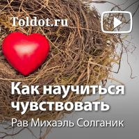 Рав Михаэль Солганик — Как научиться чувствовать cover