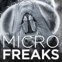 MicroFreaks cover