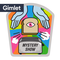 Mystery Show cover