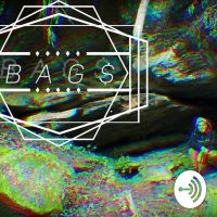 BAGs Of Wisdom cover