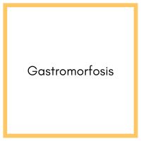 Gastromorfosis cover