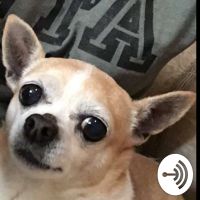 Jacob Atchley sleep podcasts cover