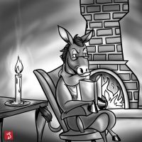 Narraciones De Un BURRO y Mas cover