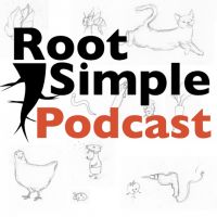 Root Simple Podcast cover