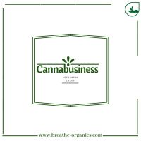Cannabusiness cover