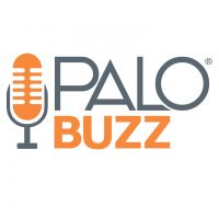 PALO BUZZ Digital Marketing and More cover