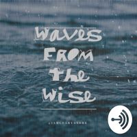 Waves From The Wise cover