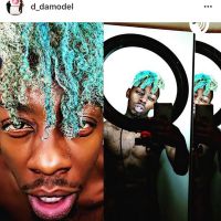 D-damodel show cover
