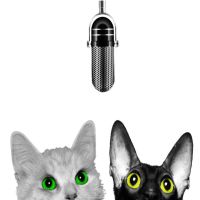 Kattsnackspodden cover