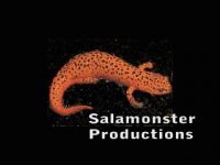 Salamonster Productions cover