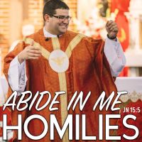 Abide In Me Homilies cover