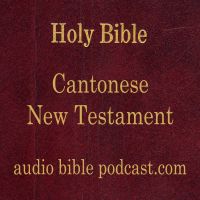 ABP - Cantonese Bible - New Testament - January Start cover