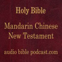 ABP - Mandarin Chinese Bible - New Testament - January Start cover