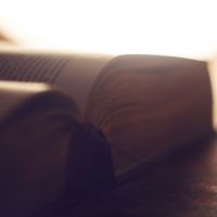 Palabra que Da Vida cover