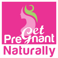 Get Pregnant Naturally: How to Solve Your Infertility Problems Using Functional Medicine cover
