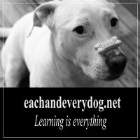 Each and every dog cover