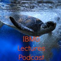 IBMG Lectures Podcast cover