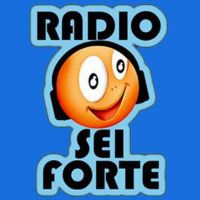 Radio Sei Forte...ESTATE IN SCENA! 2015 cover
