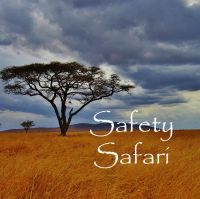 Safety Safari cover