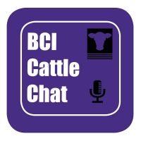 BCI Cattle Chat cover