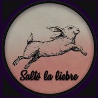 Saltó la liebre cover