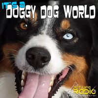 It's A Doggy Dog World - All about dogs as pets & caring for your pet dog, - Pets & Animals on Pet Life Radio (PetLifeRadio.com) cover