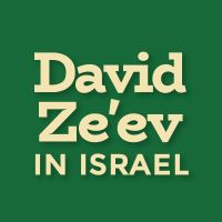 David Ze'ev in Israel: Interviews With Israel's Leading Newsmakers and Politicians cover