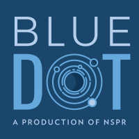 Blue Dot cover