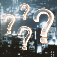 Whose City? cover