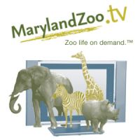 MarylandZoo.TV cover