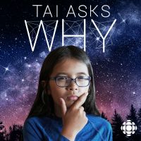 Tai Asks Why cover