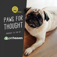 Paws for Thought cover