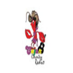 CCR Cajun Country Radio logo