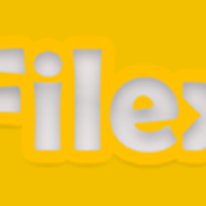 Filex FM logo
