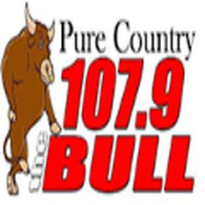The Bull logo