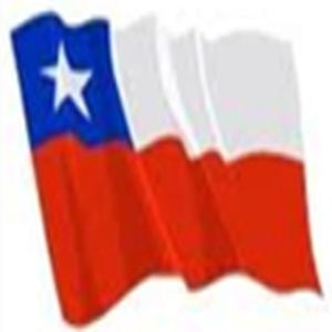 Busólogos Chilenos logo
