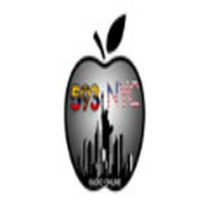 Radio 593NYC logo