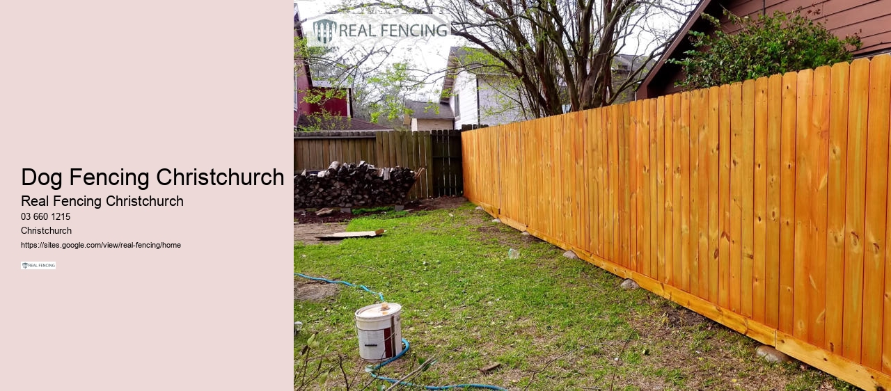 Dog Fencing Christchurch