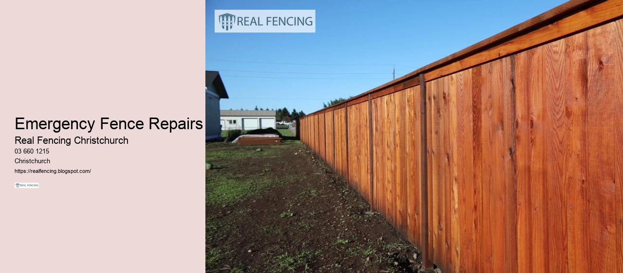 hidden fence nz