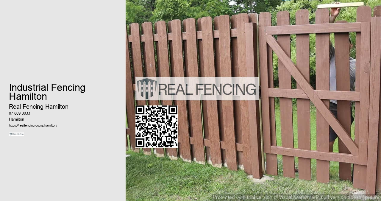 Hidden Dog Fences Hamilton
