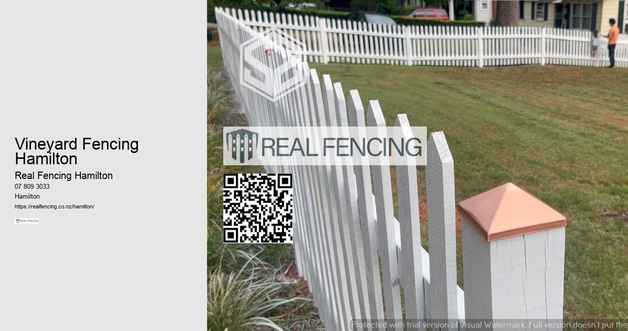 Chainlink Fencing Hamilton