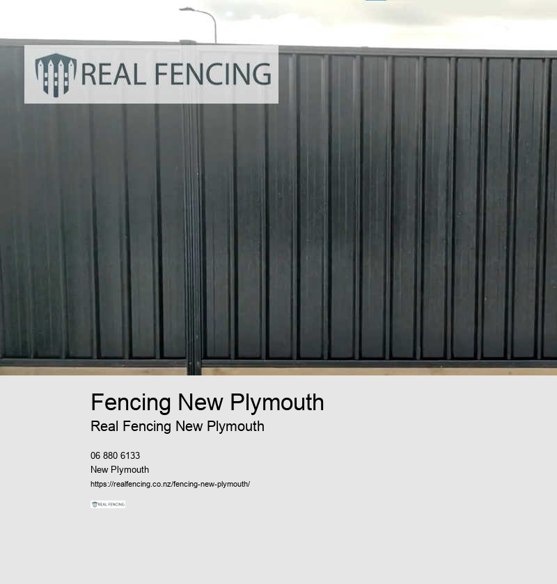 Invisible Fence For Dogs NZ