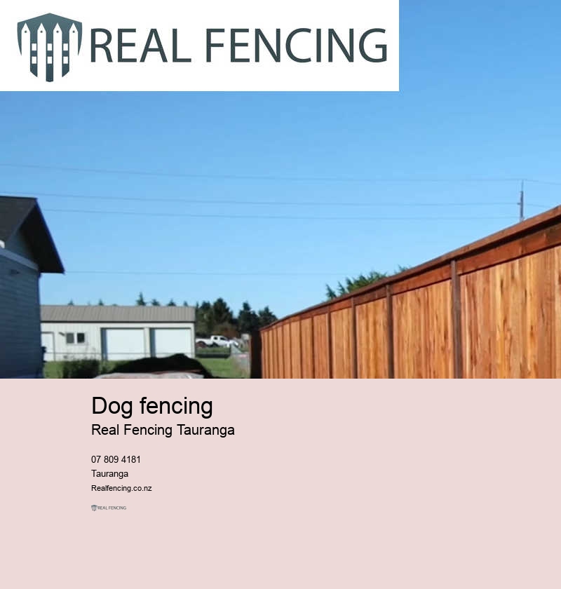 Pool fencing Tauranga standard