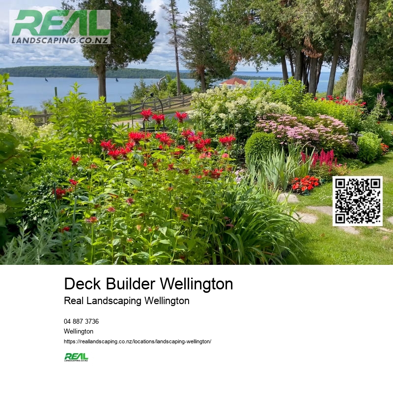 Artificial Grass Wellington NZ