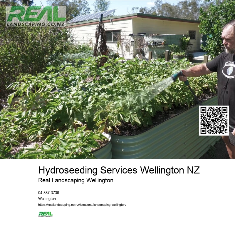 Wellington Courtyard Gardens