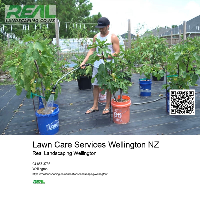 Garden Paving Wellington