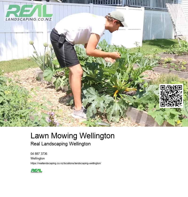 Wellington Patio Builders