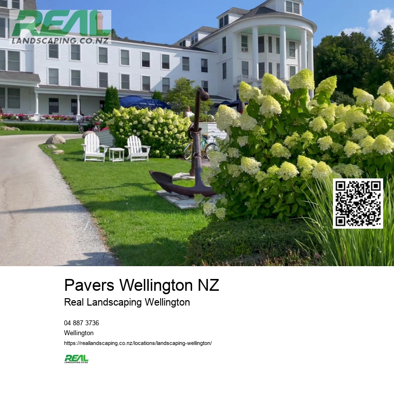 Wellington Garden Drought-tolerant Planting